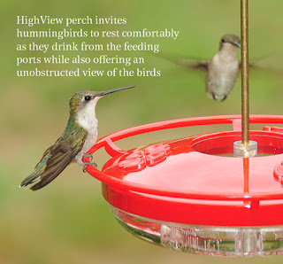 wild birds unlimited when hummingbirds arrive in michigan wild birds unlimited when hummingbirds arrive in michigan