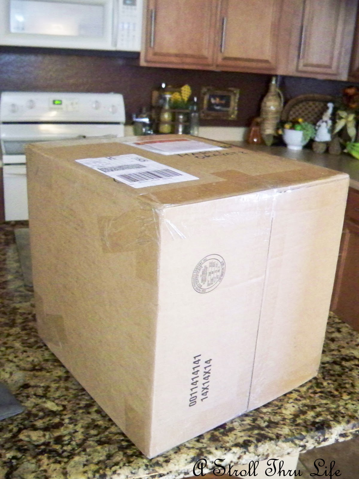 Fairy Hobmother and More Books