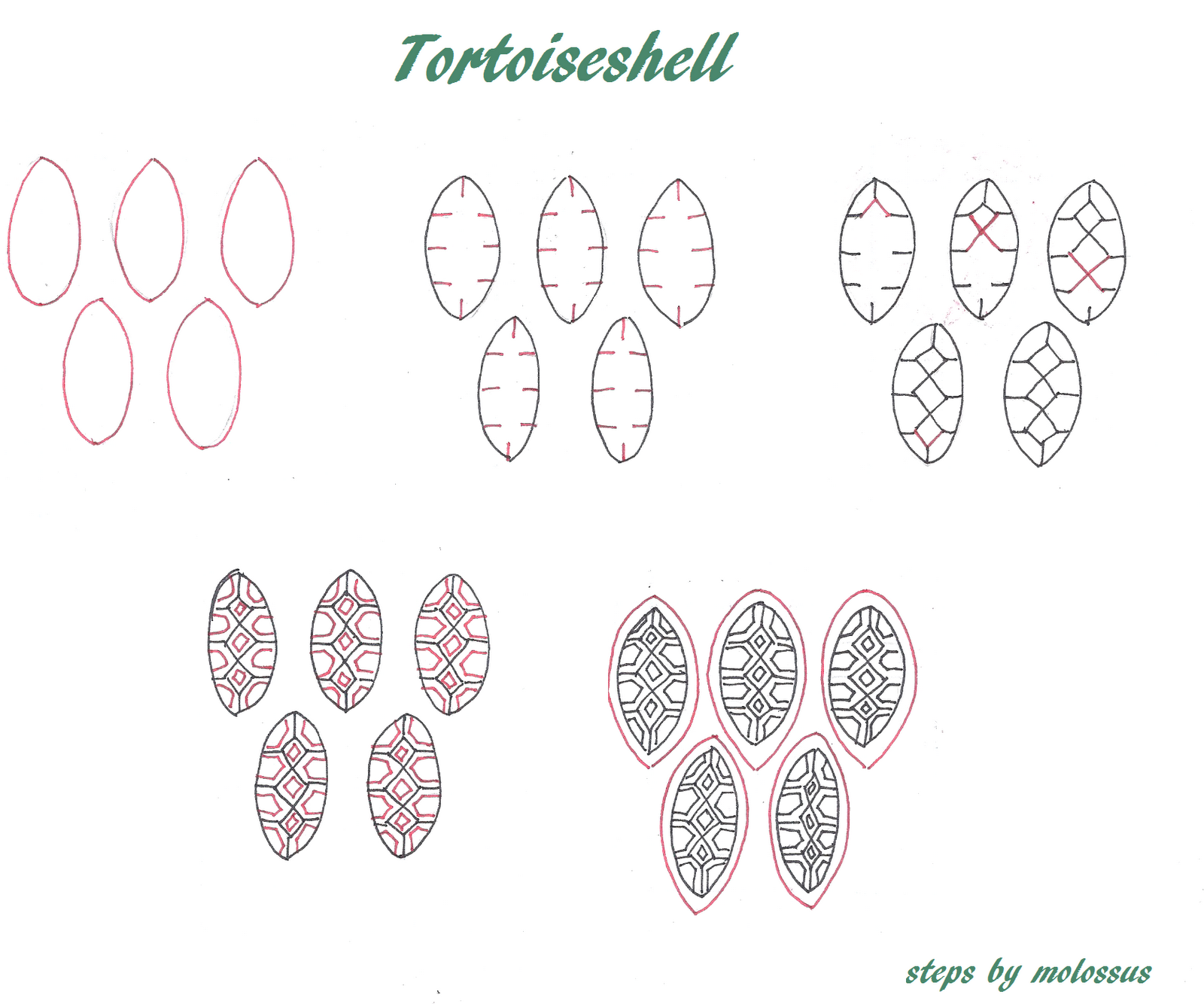 my-tangle-pattern-tortoiseshell