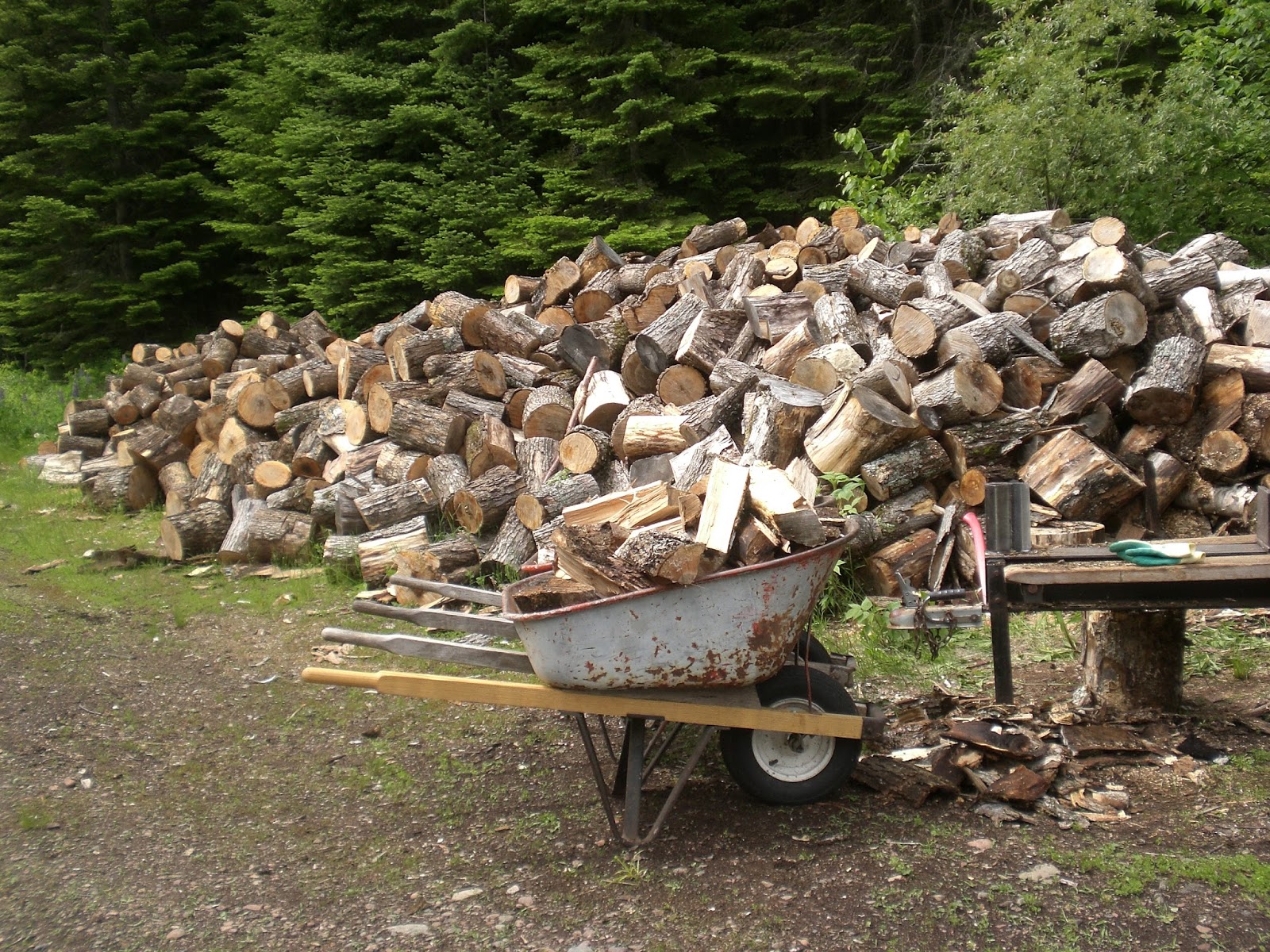 A Home Grown Journal Sawdust in My Shoes