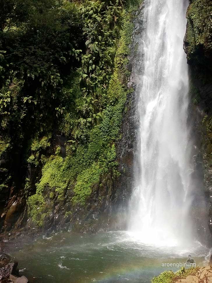 curug bajing petungkriyono pekalongan