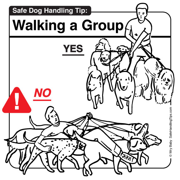 Safe Handling Tips™