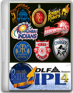 DLF IPL 4 Cricket Fever Game