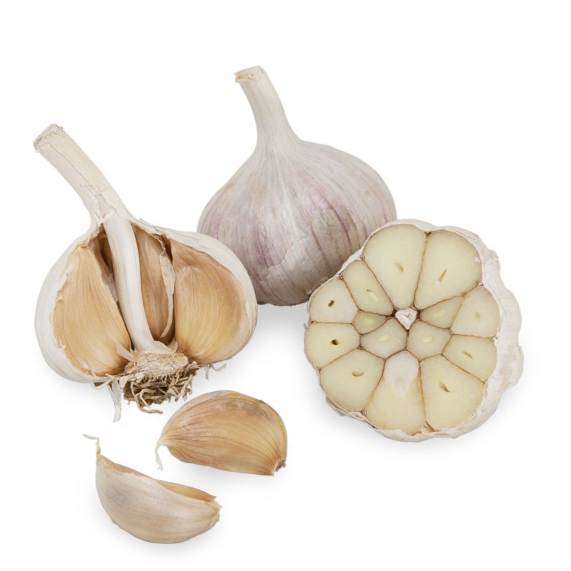 CSA Shares: Garlic
