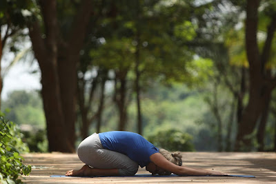 Para quienes se acercan a esta milenaria ciencia y quienes quieren reforzar su rutina les presentamos este reto de 5 posturas fundamentales que puedes empezar a realizar para familiarizar el cuerpo y la mente con esta práctica. 
