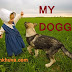 THE BEST DOG POEMS FOR EVERY WAG-21st century