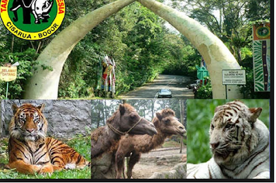 Taman Safari Taman Safari