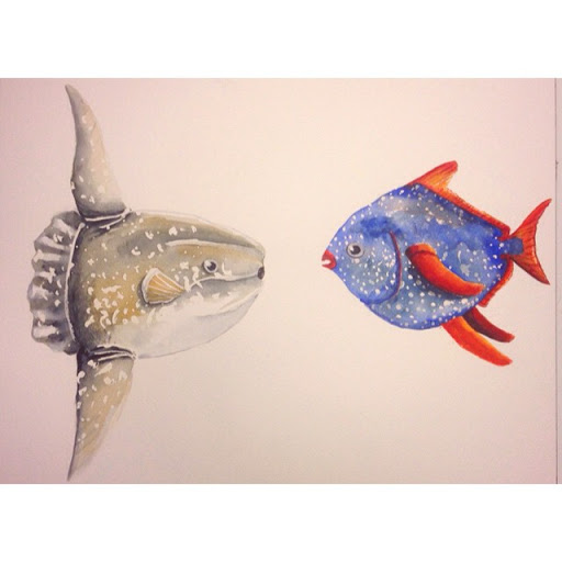 外溫的月魚 (翻車魚) 與內溫的月魚