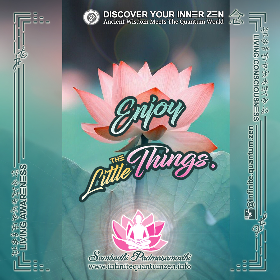 Enjoy the Little Things - Success Life Quotes, Infinite Quantum Zen, Alan Watts Philosophy