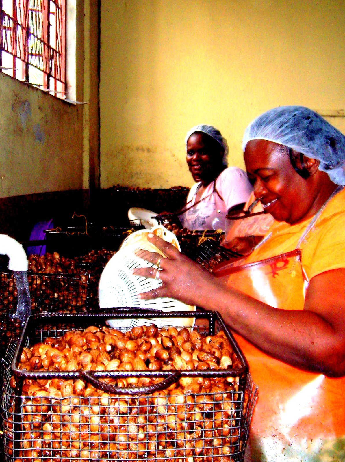 Troubadour Grenada Tour Gouyave Nutmeg Processing Station