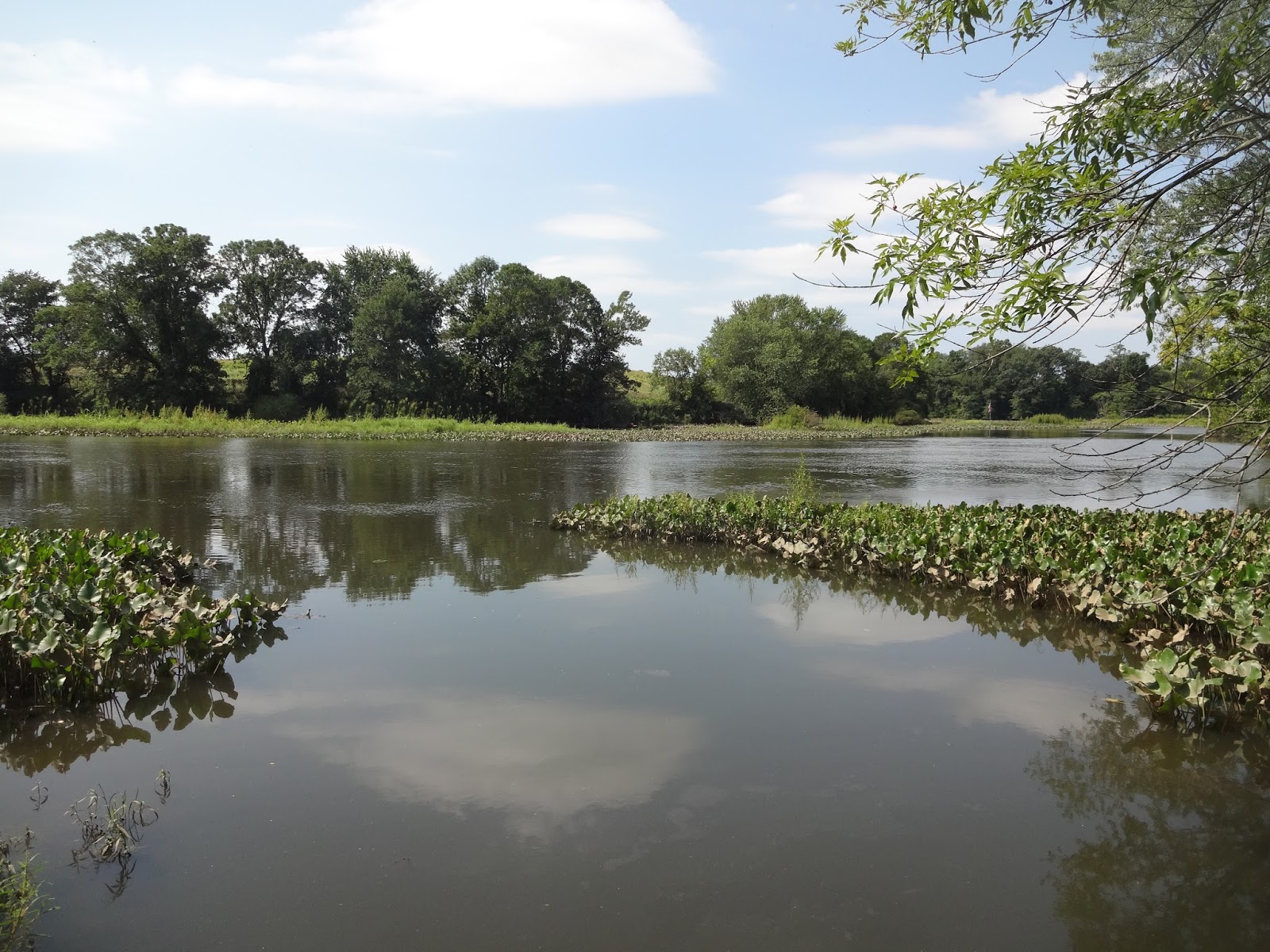 Extreme Philly Fishing August Fishing Sessions 08/24 Exploring and Fishing the Runnemede