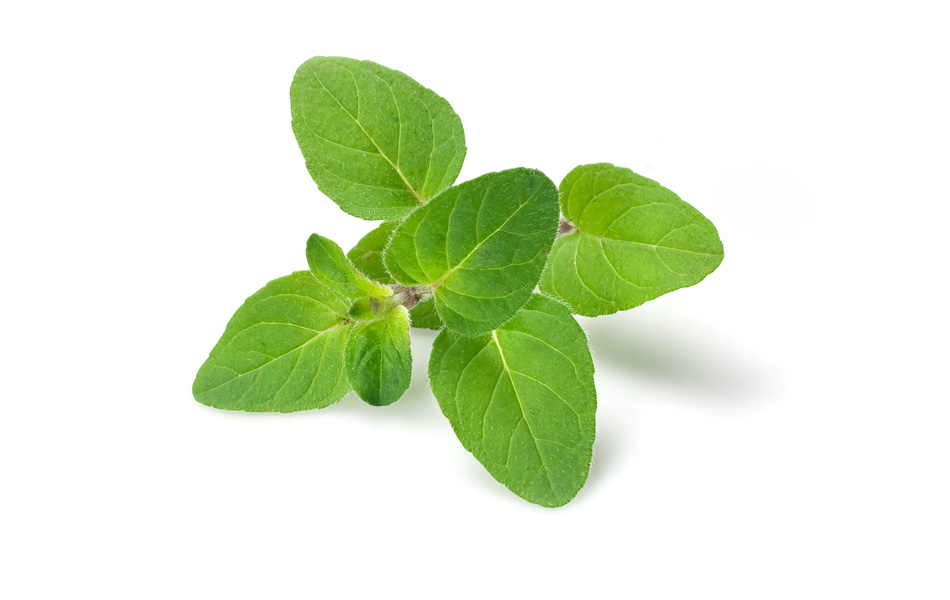 Indoor Herb Gardening Tips Growing 101 for Basil, Rosemary, Parsley