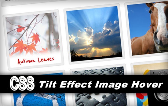 Tilt Effect Image Hover Effects for Blogger Post Part 4