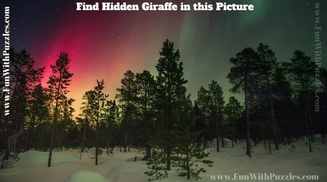 Picture Puzzle to find hidden Giraffe to test your observational power