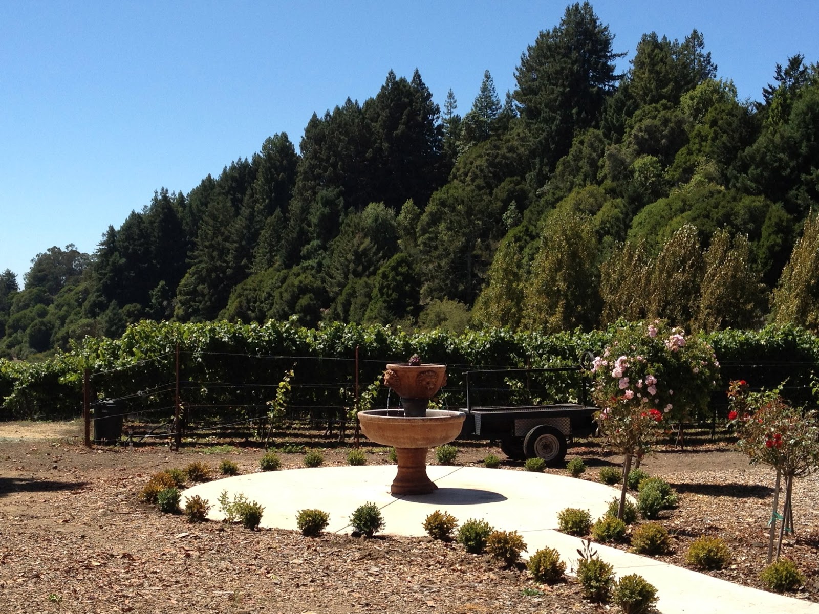 The Accidental Wine Snob Soquel Vineyards