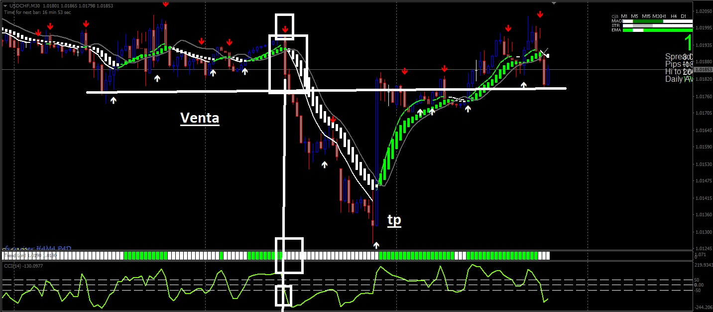 Sistema forex rentable