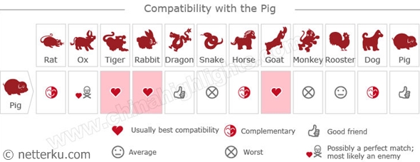 Compatibility with the Pig - Netterku.com