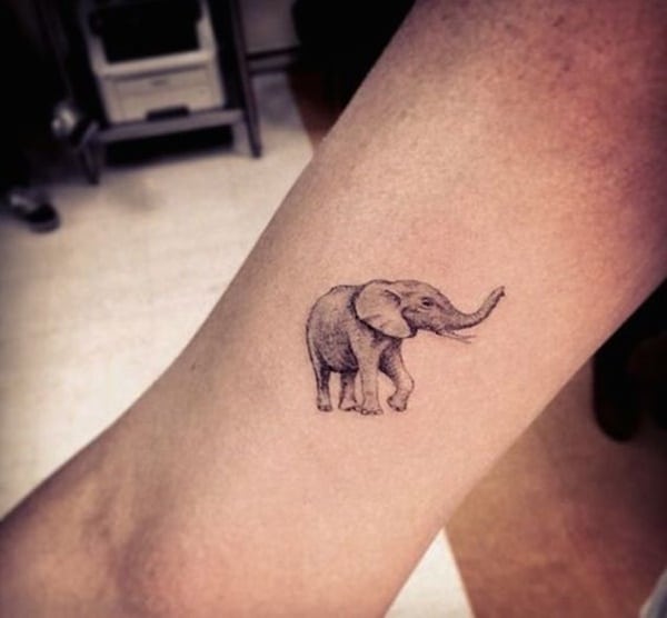 tatuagens femininas de elefante tatuagens femininas de elefante