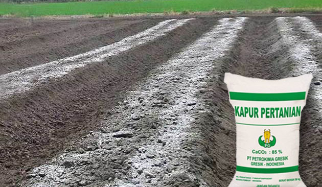 Gambar Kapur Dolomit