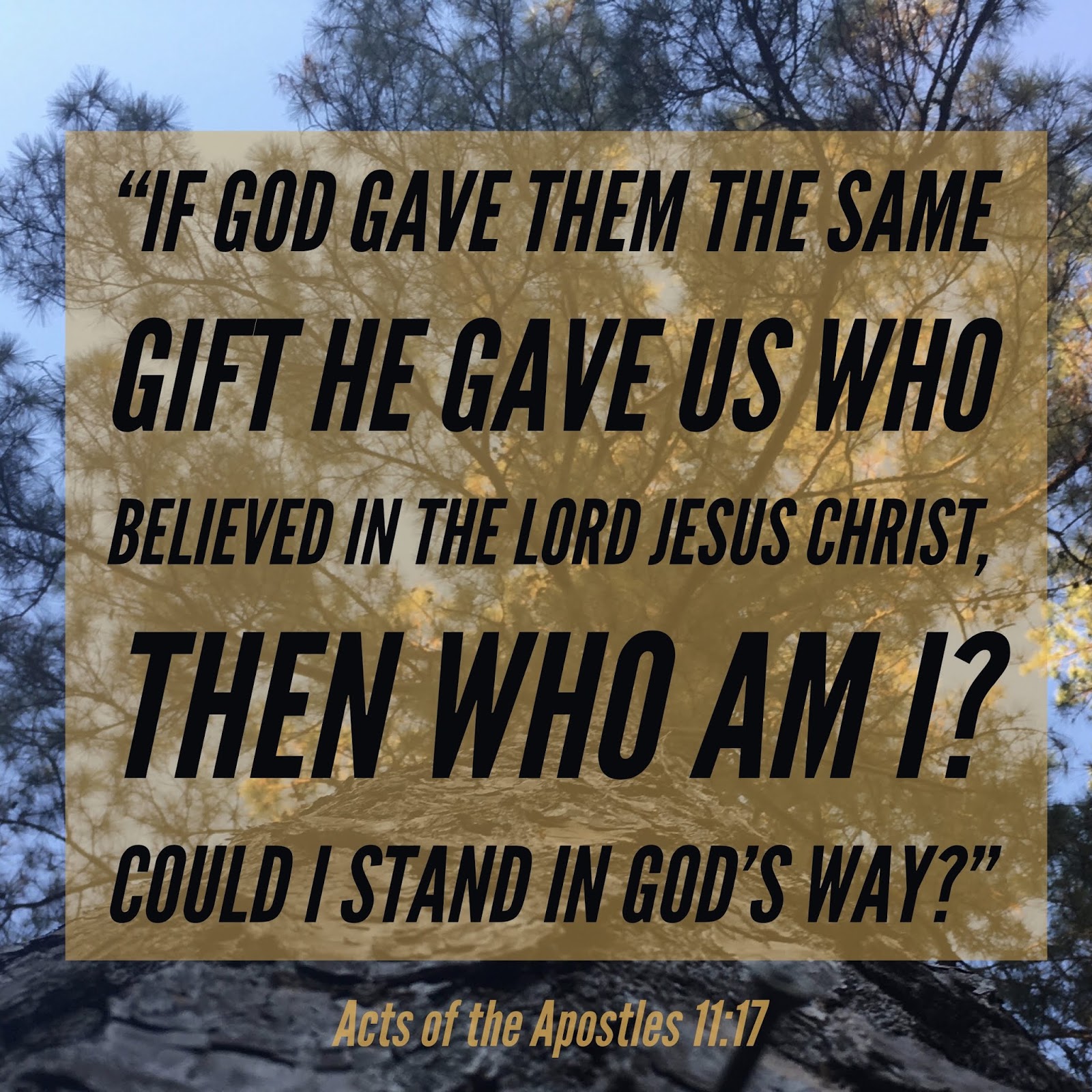 Lectionarypondering Acts 11 1 18