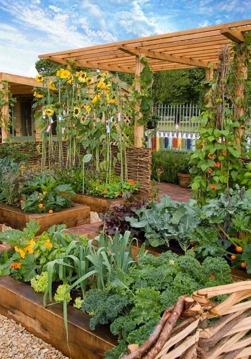 Edible Garden Ideas edible landscape ideas sunset Edible Garden Ideas Landscaping Edible Garden Ideas just look at these little cabbages suddenly edibles seem more chic than annuals Edible Garden Ideas Landscaping