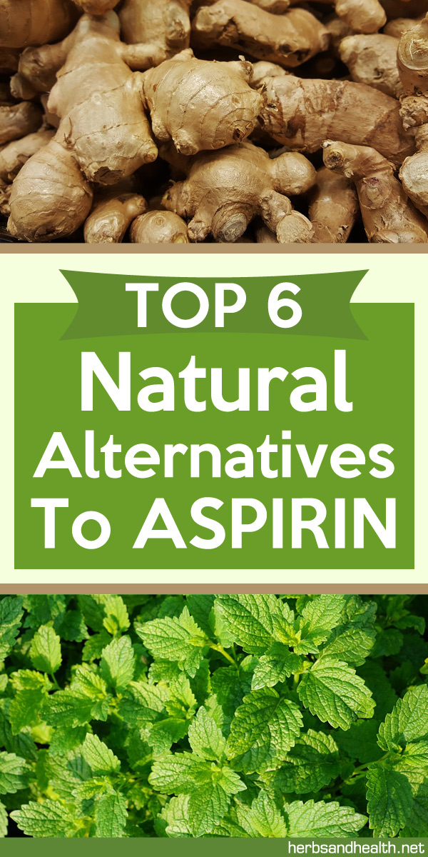 LA SOLIDARIDAD Top 6 Natural Alternatives To Aspirin
