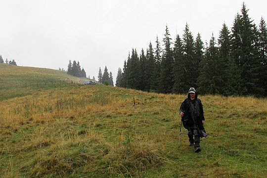 Połonina Hermaniwka (ukr. Полонина Германівка). Połonina Hermaniwka (ukr. Полонина Германівка).