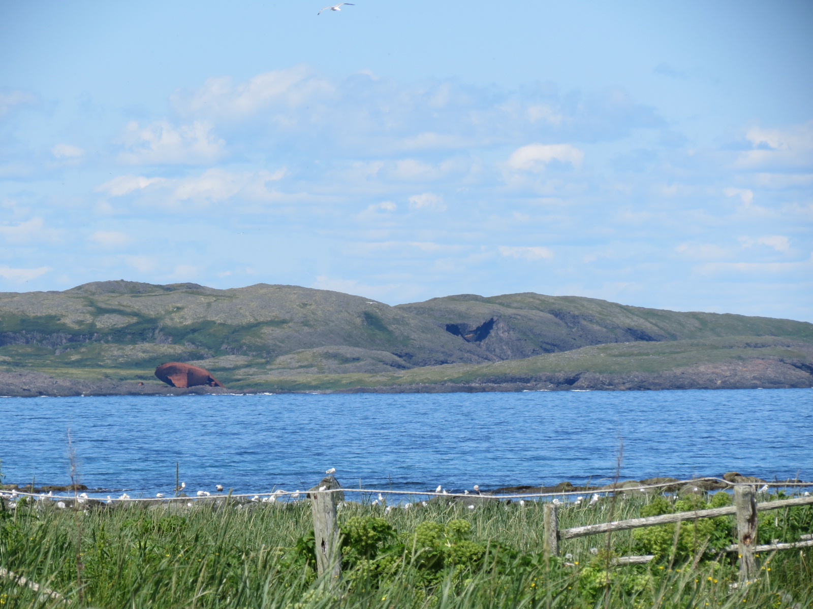 Let's Just Go Somewhere Goose Cove and L'Anse aux Meadows