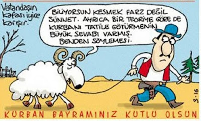 Son-cirpinislar komik-hayvan-karikatürleri