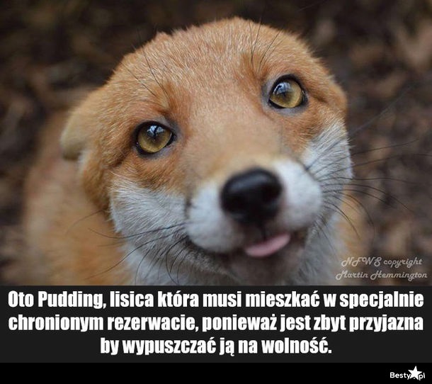 udawanie, że tak, a karma się połączyła widziałem moją byłą dziewczynę na stronie randkowej