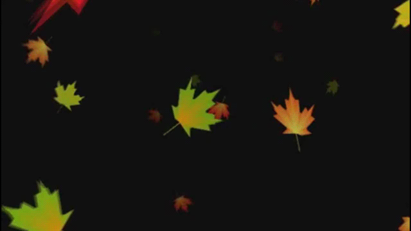 0_bccf0_8a46d81d_xl.gif