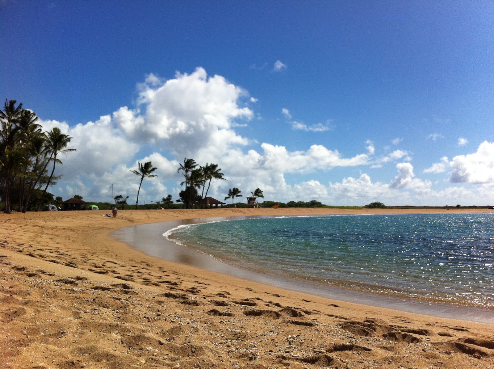 Kauai Real Estate For Sale Poipu Condos For Sale Kauai Hawaii Real