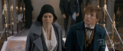 Newt e Tina al MACUSA