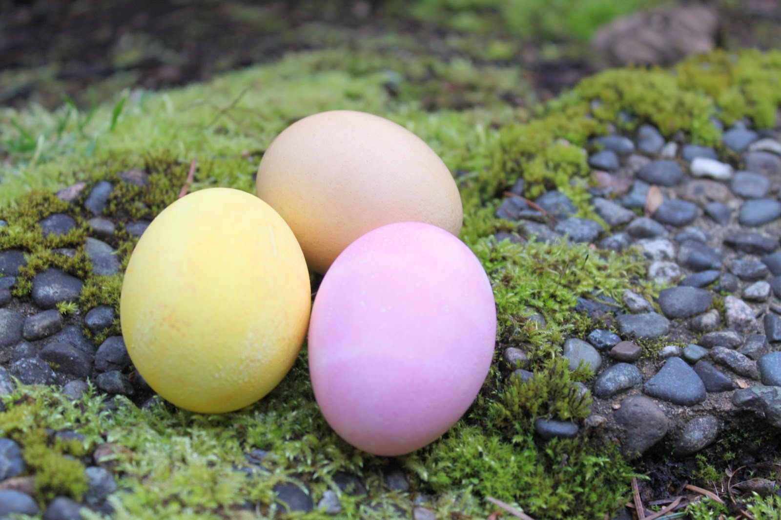 Eggs up. Зеленые пасхальные яйца. Пасхальные яйца фото. Пасхальное яйцо артишок. Виртуальное пасхальное яйцо.