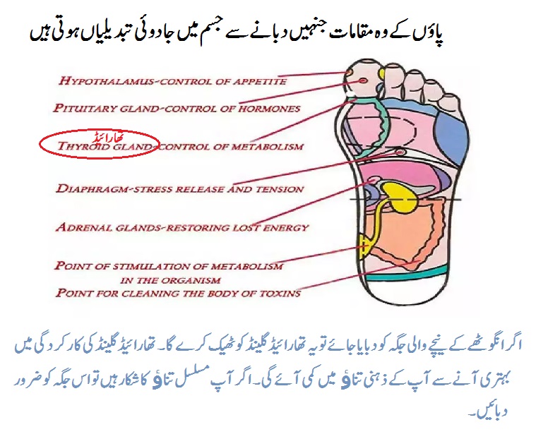 Thyroid Disease ka Desi ilaj gland Urdu Helpline