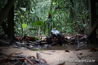 [PHOTOS] 20160424 - Rifle Range Road - Durian Loop Trail Photos DSC02869