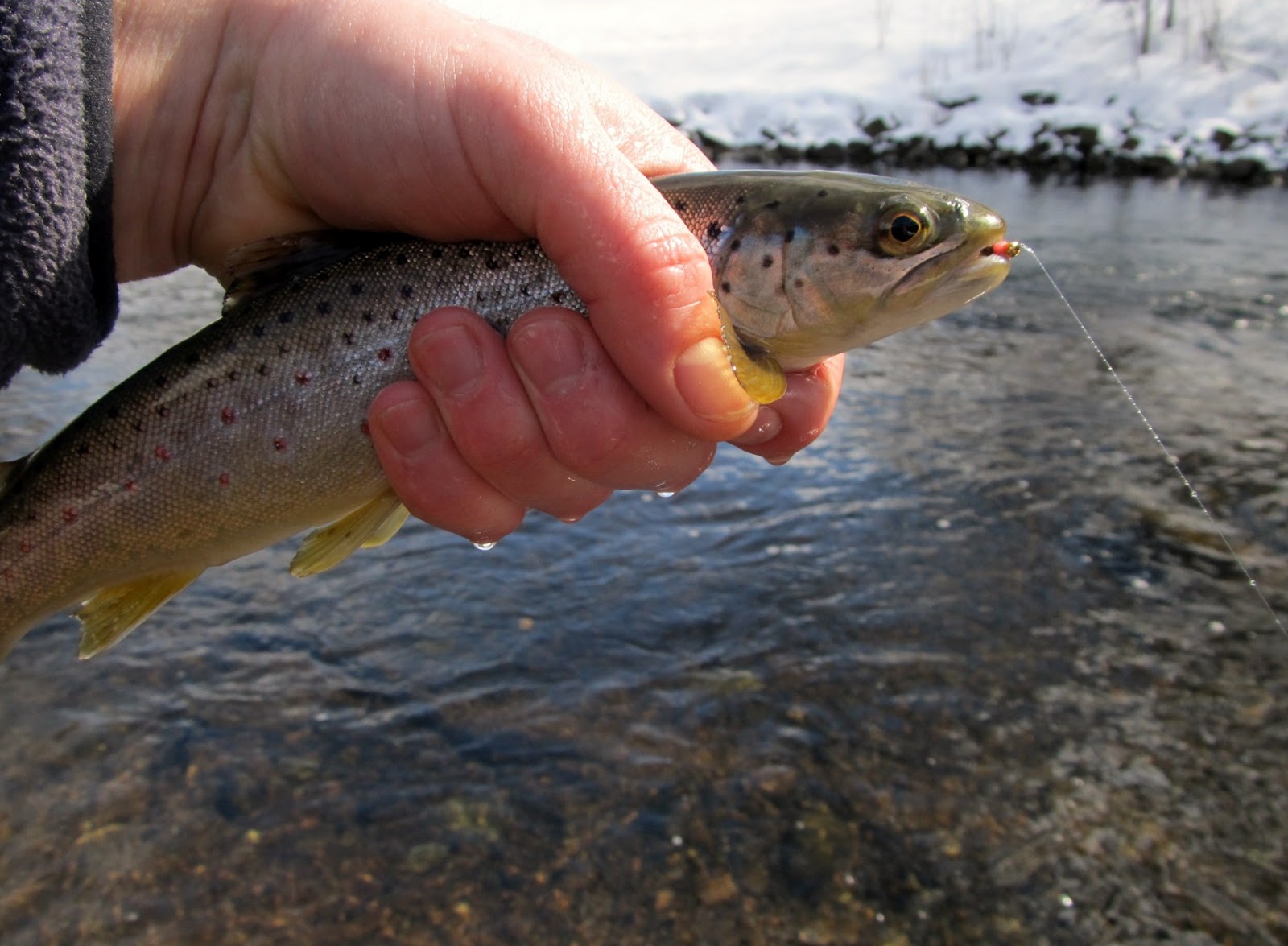 Midwest TwoHearted Trout The Pink Squirrel Actually Works