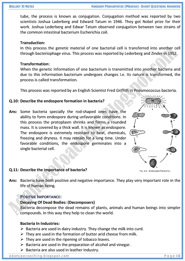 kingdom-prokaryatae-monera-short-question-answers-biology-11th