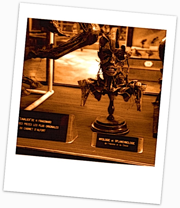 ruiskuttaminen tai ylitsepursuavaBoston orgia