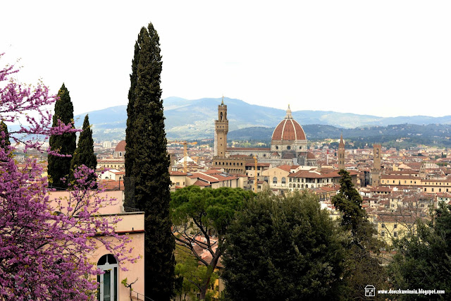 Florencja widok z ogrodu Bardini