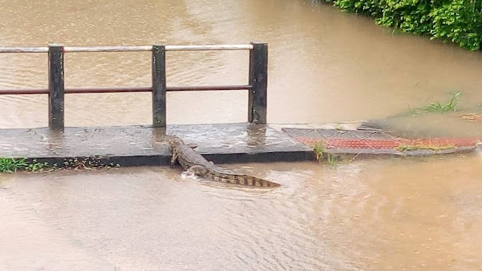 Chuva na Grande Florianópolis causa alagamentos