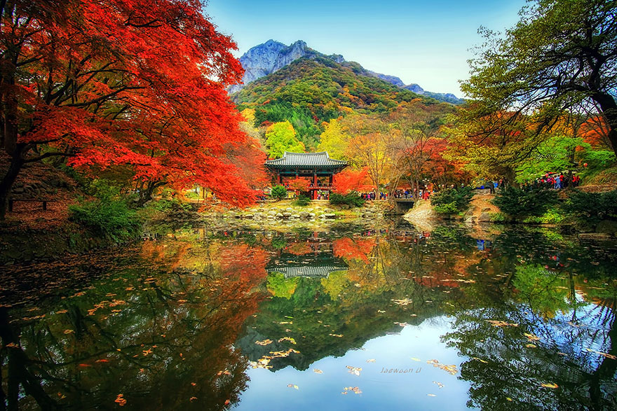 The Gorgeous Beauty Of South Korea In Reflected Landscapes That Will Amaze You ~ Insurance Travel