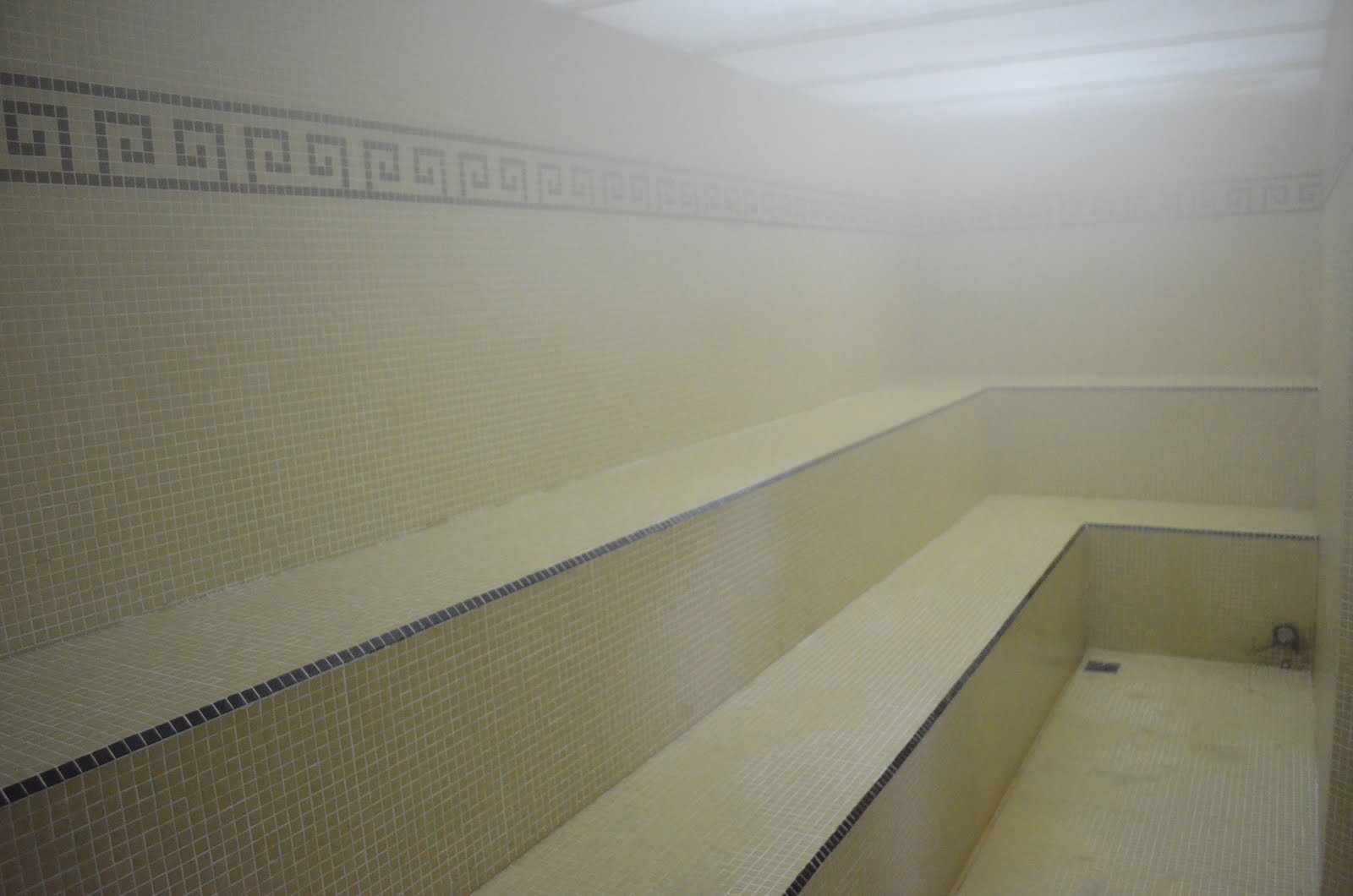 Homo Sapiens Spa Gay SAUNA HUMEDO