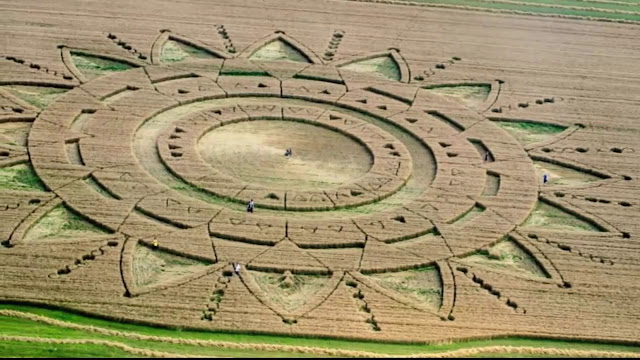 FOTO DE CROP CIRCLE  EN 2017