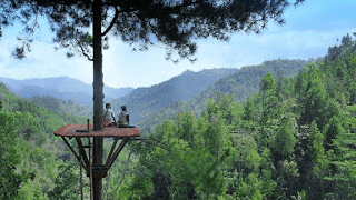 Hutan pinus kita pacitan Hutan pinus kita pacitan