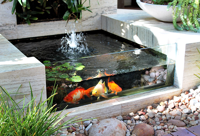 Taman Rumah Minimalis: Contoh Taman Dalam Rumah Minimalis Dengan Kolam