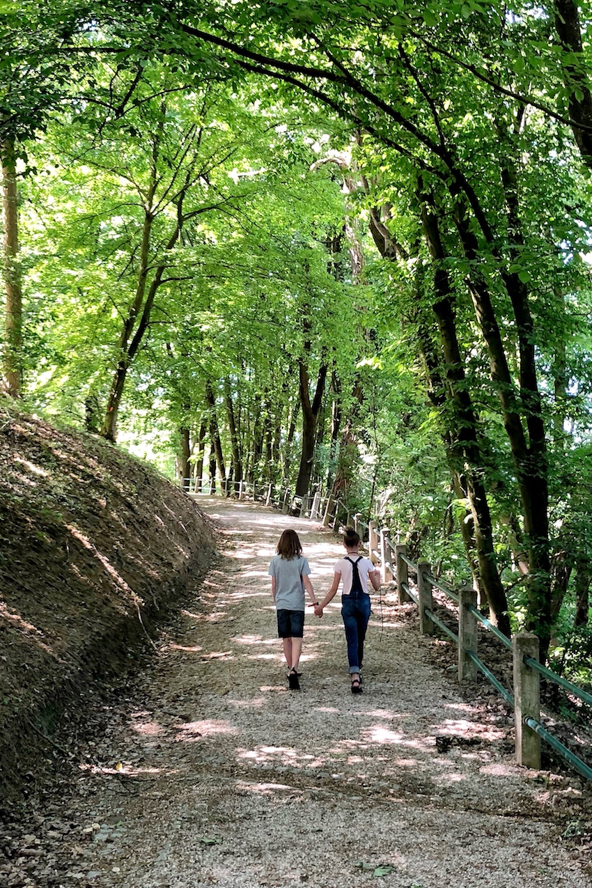 Weg zur Franz-Josefs-Warte Weg zur Franz-Josefs-Warte