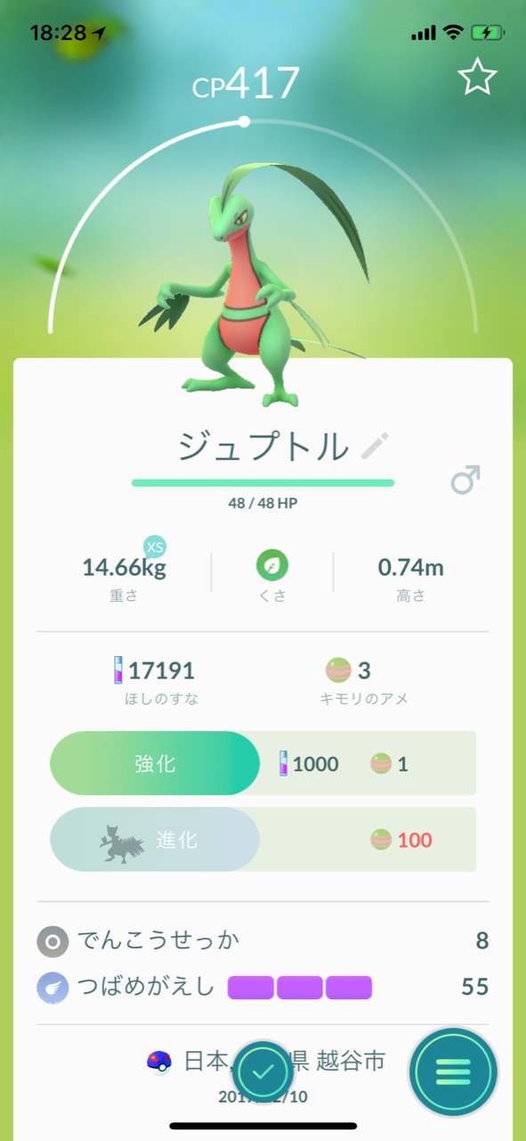 メシアブログ ポケモンgo ジュプトル