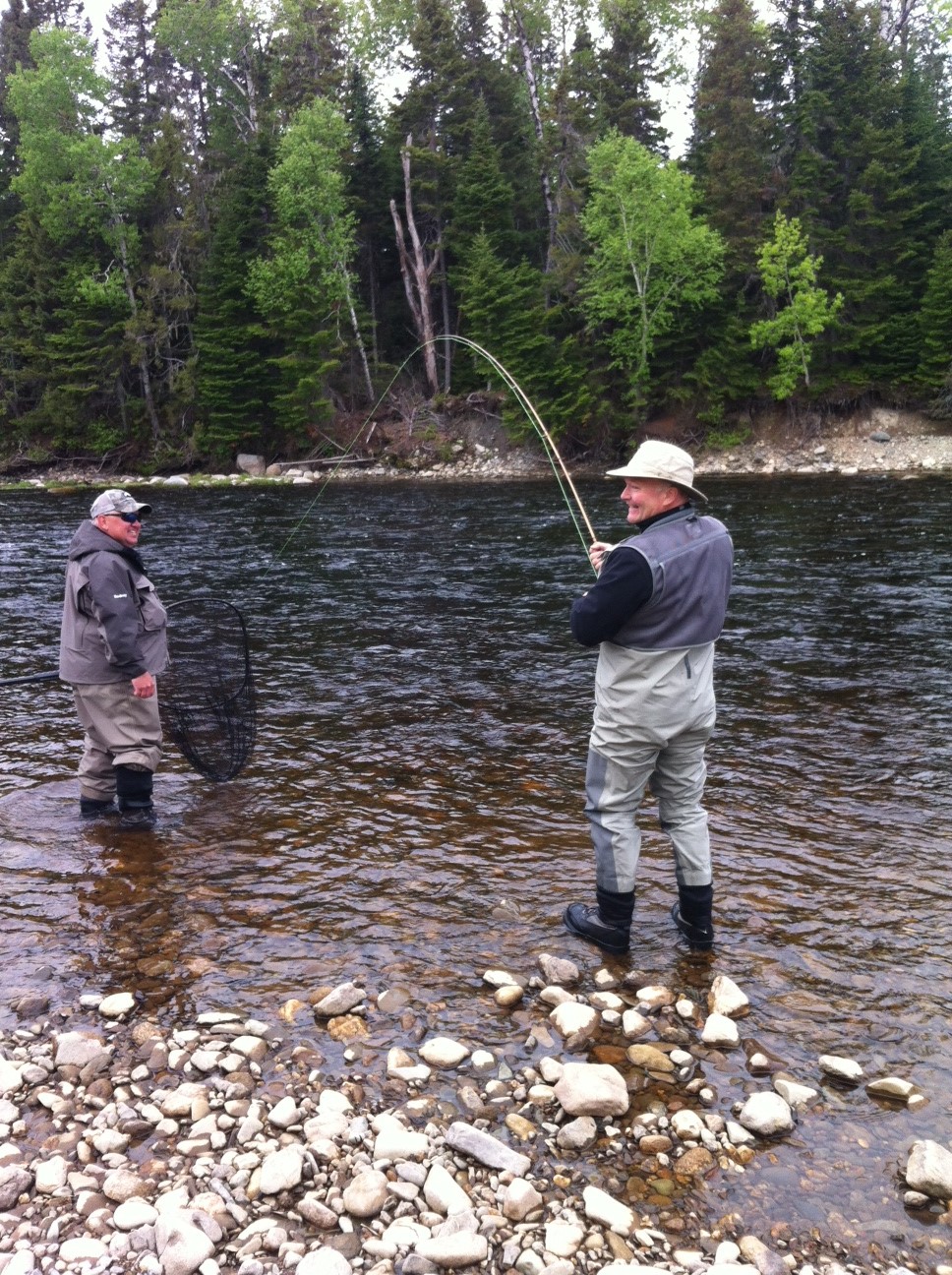 Rod's Miramichi Fishing Reports Miramichi River Salmon Fishing Improving