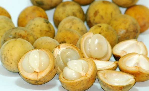 Sejuta Manfaat Buah Duku Bagi Tubuh Sejuta Manfaat Buah Duku Bagi Tubuh